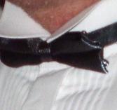 Fluga